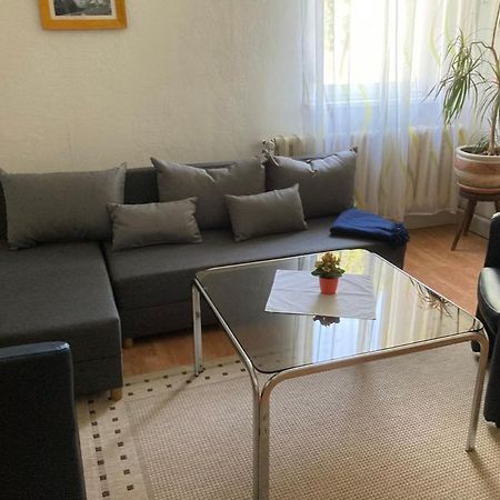 Ferienwohnung Geister 萨勒河畔瑙姆堡 外观 照片
