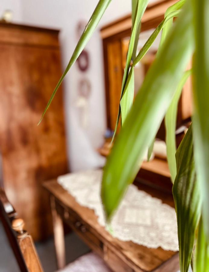 Ferienwohnung Geister 萨勒河畔瑙姆堡 外观 照片