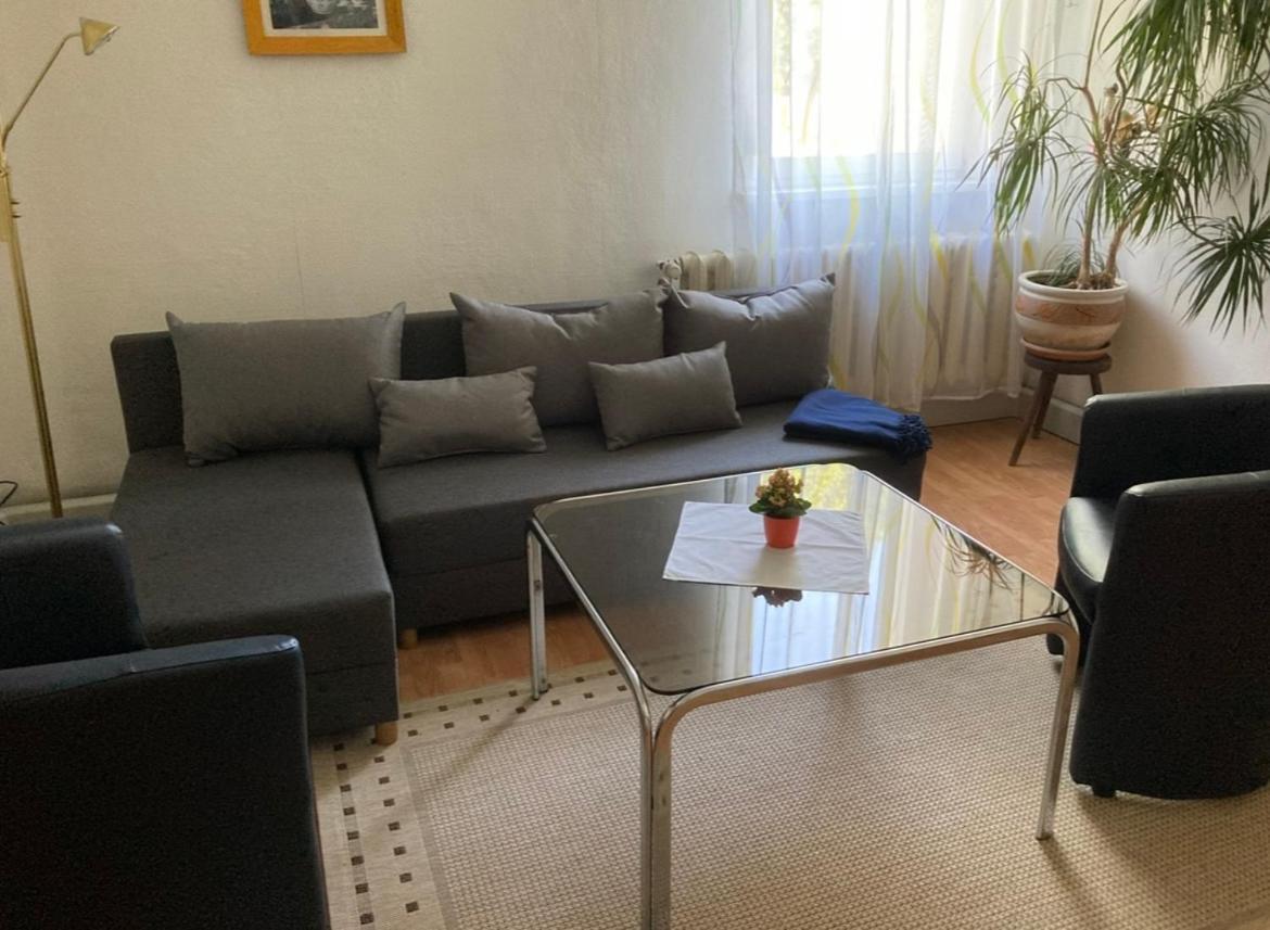 Ferienwohnung Geister 萨勒河畔瑙姆堡 外观 照片